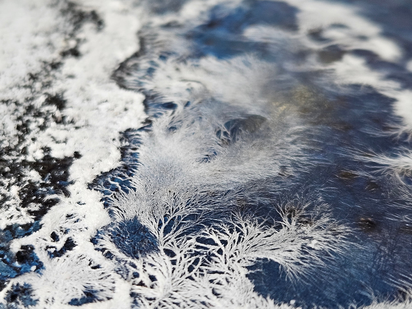 Frozen Lake